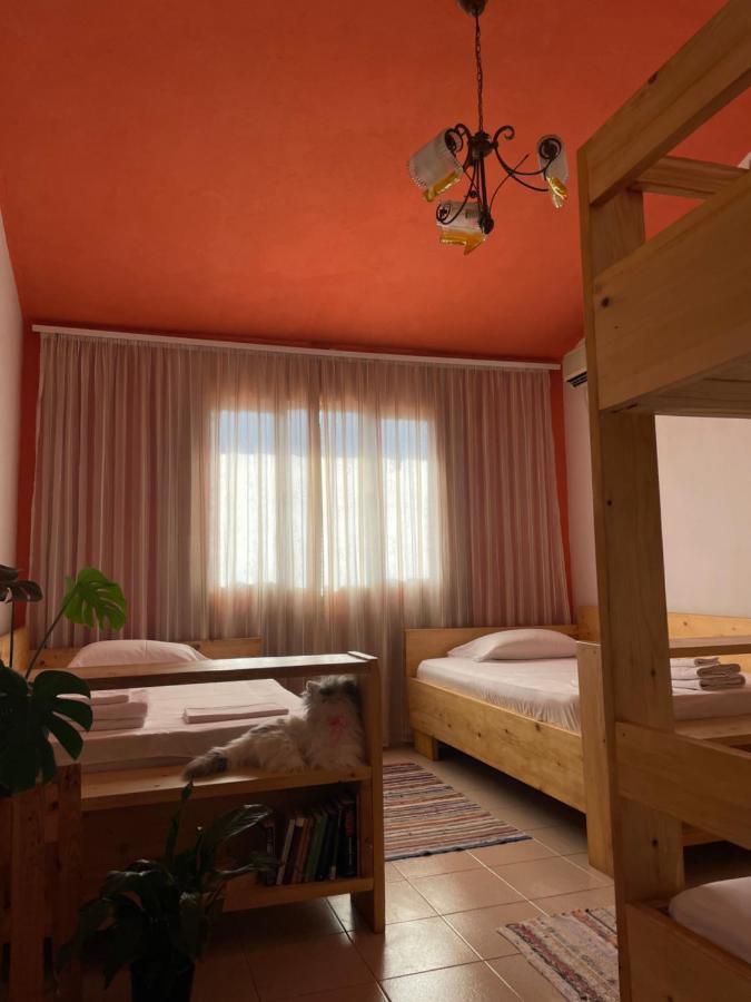 Cozy Big Apartment With Balcony Tirana Exteriér fotografie