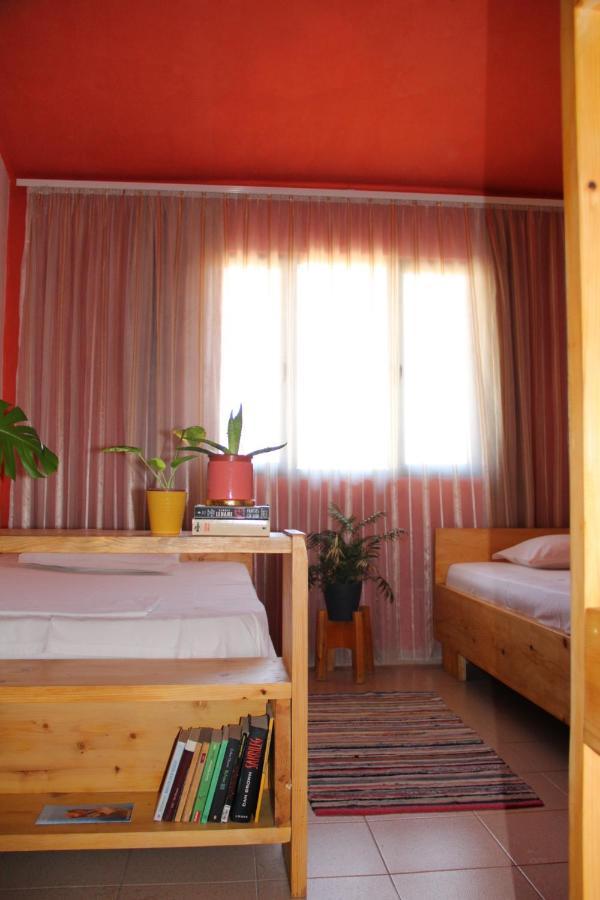 Cozy Big Apartment With Balcony Tirana Exteriér fotografie